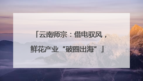 云南师宗：借电驭风，鲜花产业“破圈出海”